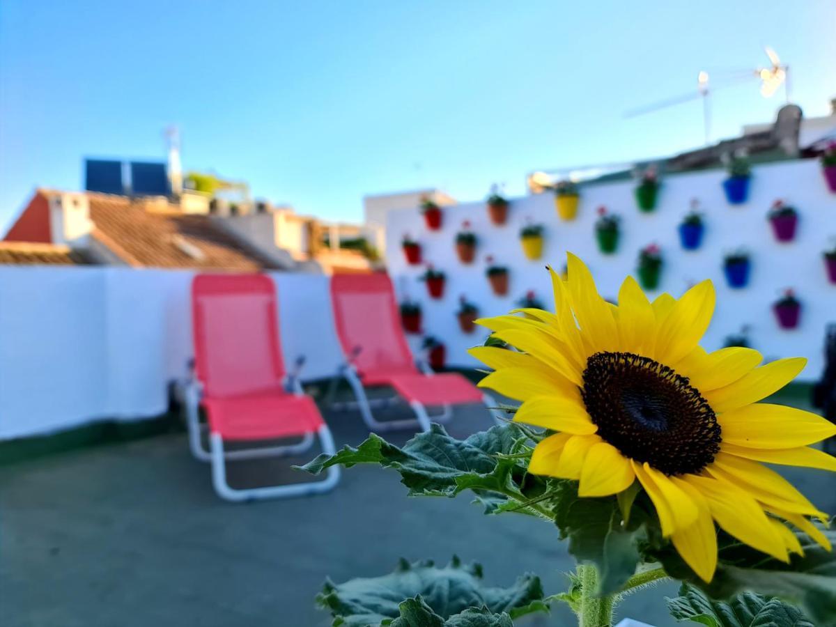 Hostal Funky By Arc House Кордоба Екстериор снимка